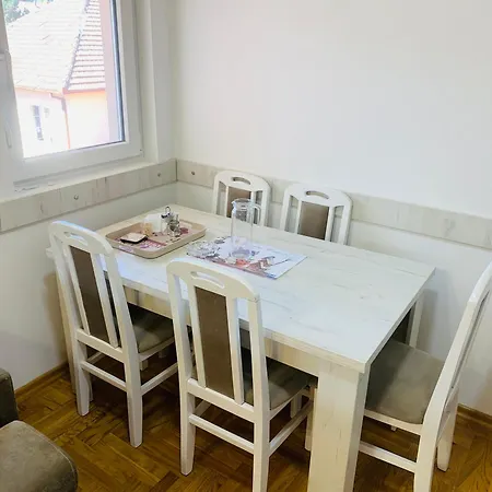 Centar 아파트 Vrnjačka Banja